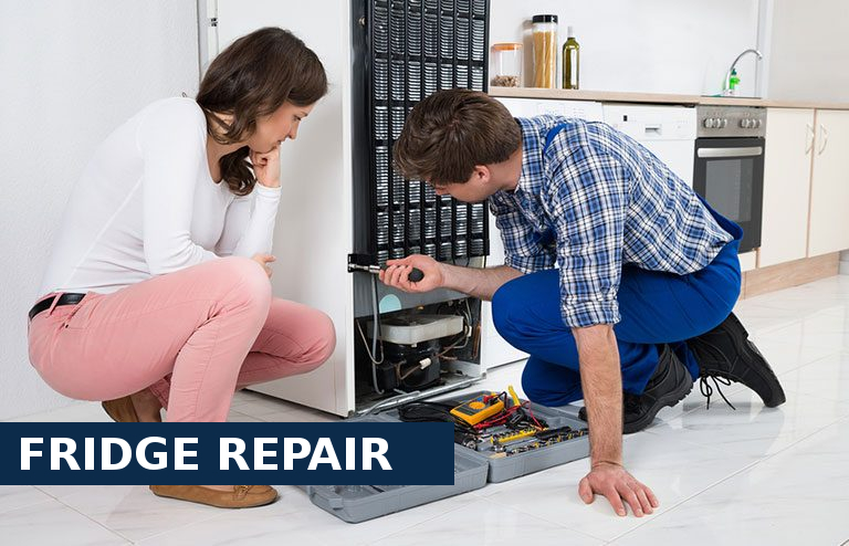 Fridge Repair Purfleet